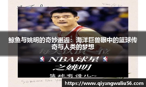 米兰体育官网