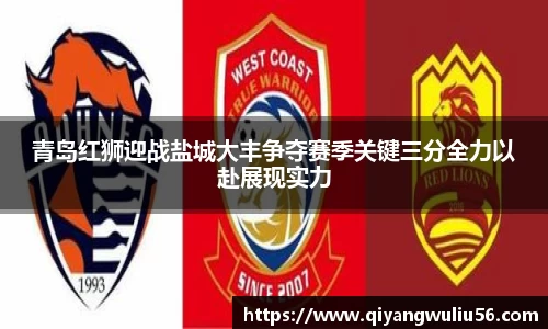 青岛红狮迎战盐城大丰争夺赛季关键三分全力以赴展现实力